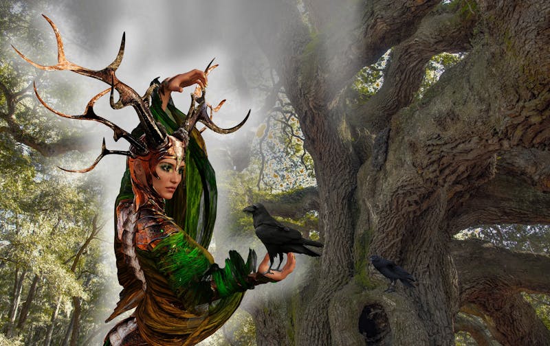 Bonanza oyun ekranı